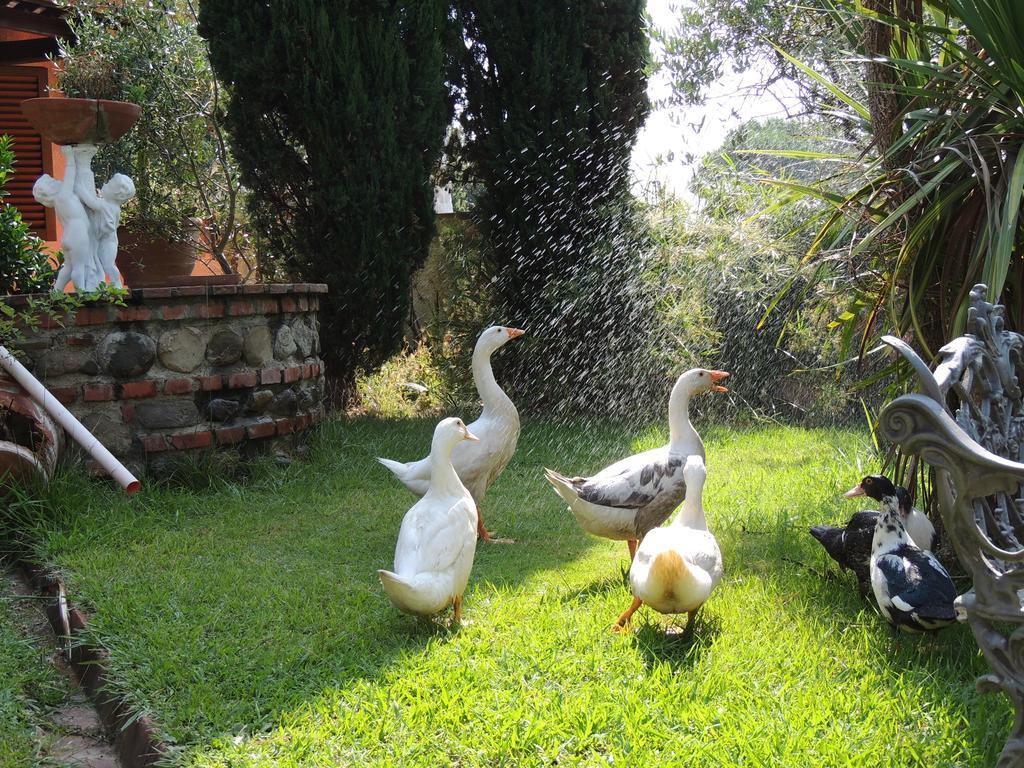 Il Cipresso Del Gallo Montecatini Terme Exterior foto